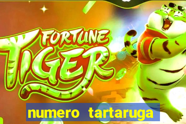 numero tartaruga jogo do bicho